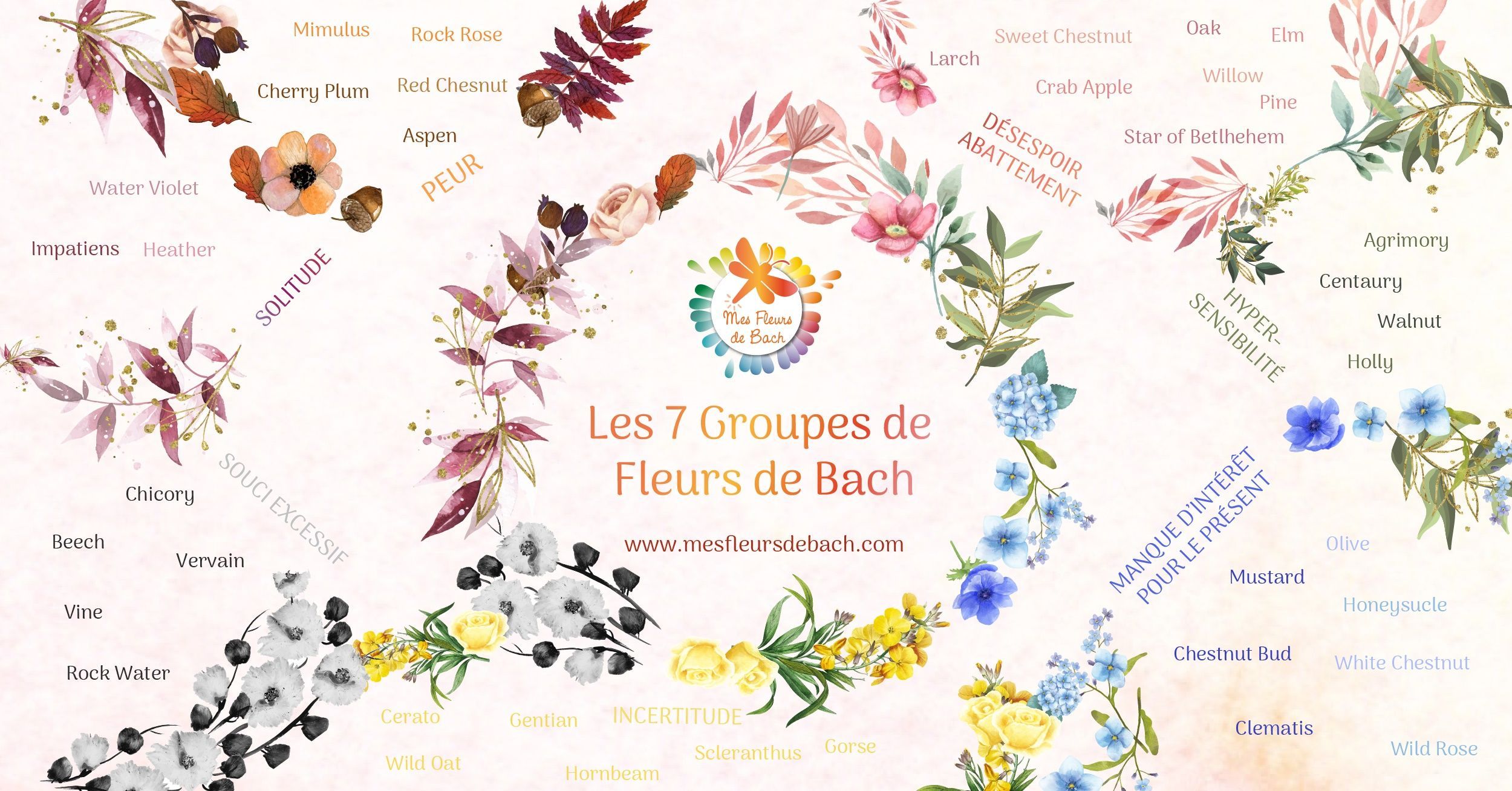 Fleurs de Bach